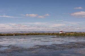 salinas_5